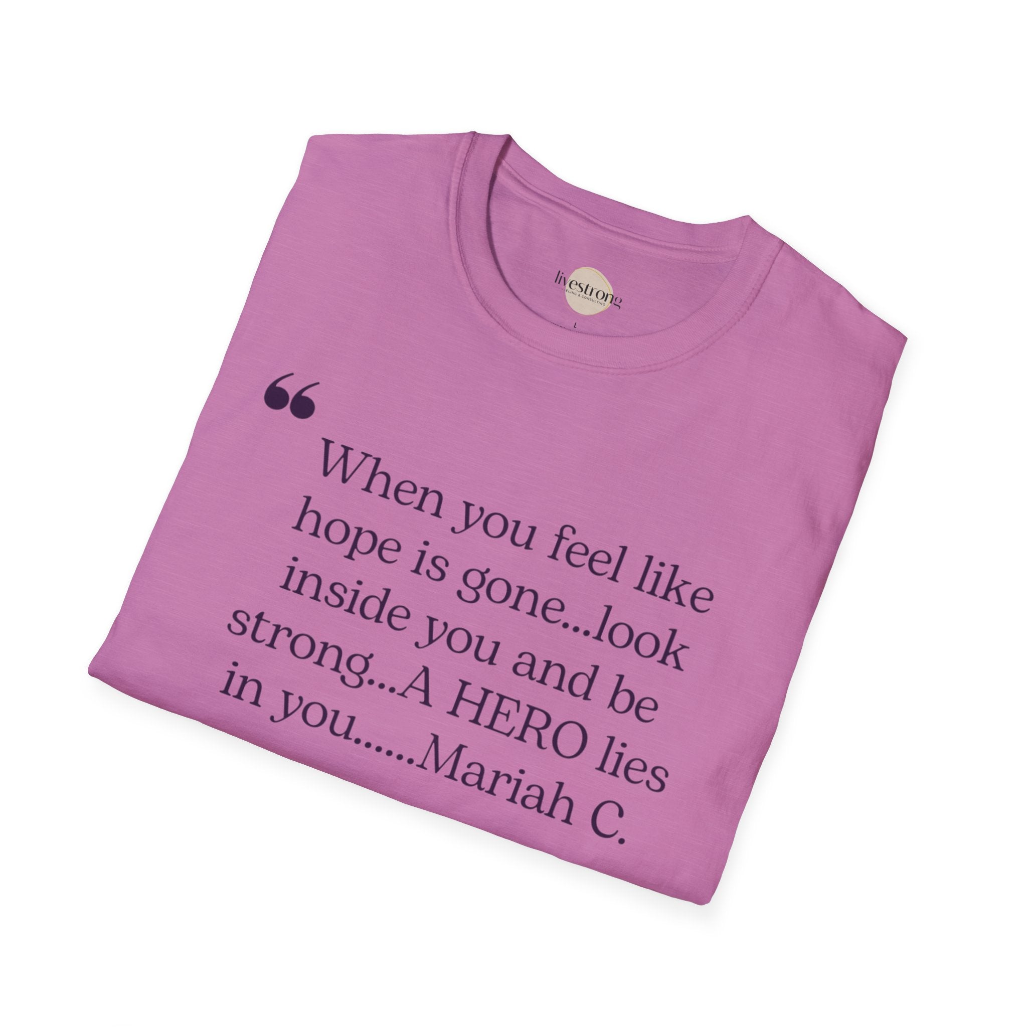 Inspirational Quote T-Shirt - A Hero Lies Within