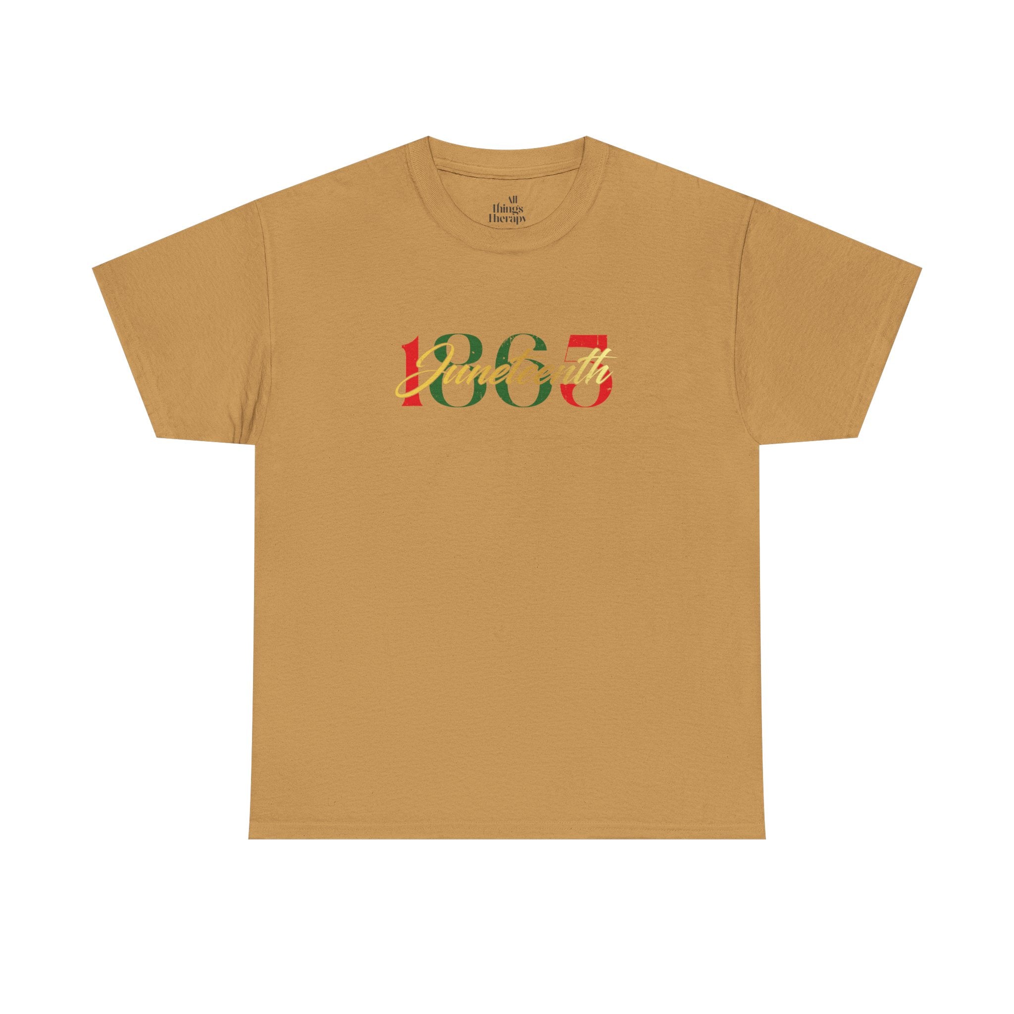 Vintage 1865 Unisex Heavy Cotton Tee, Casual Graphic Tee, Retro Style Shirt, Gift for History Lovers, Perfect for Everyday Wear