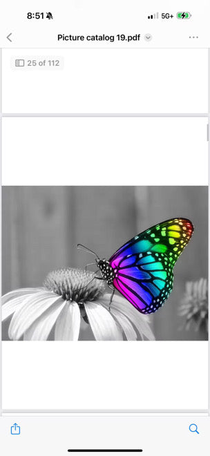 Custom Full Drill 5D Diamond Painting