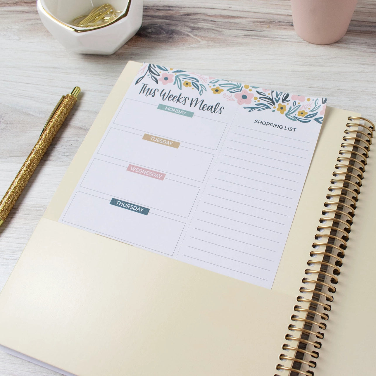 Bloom Chronic Illness Planner