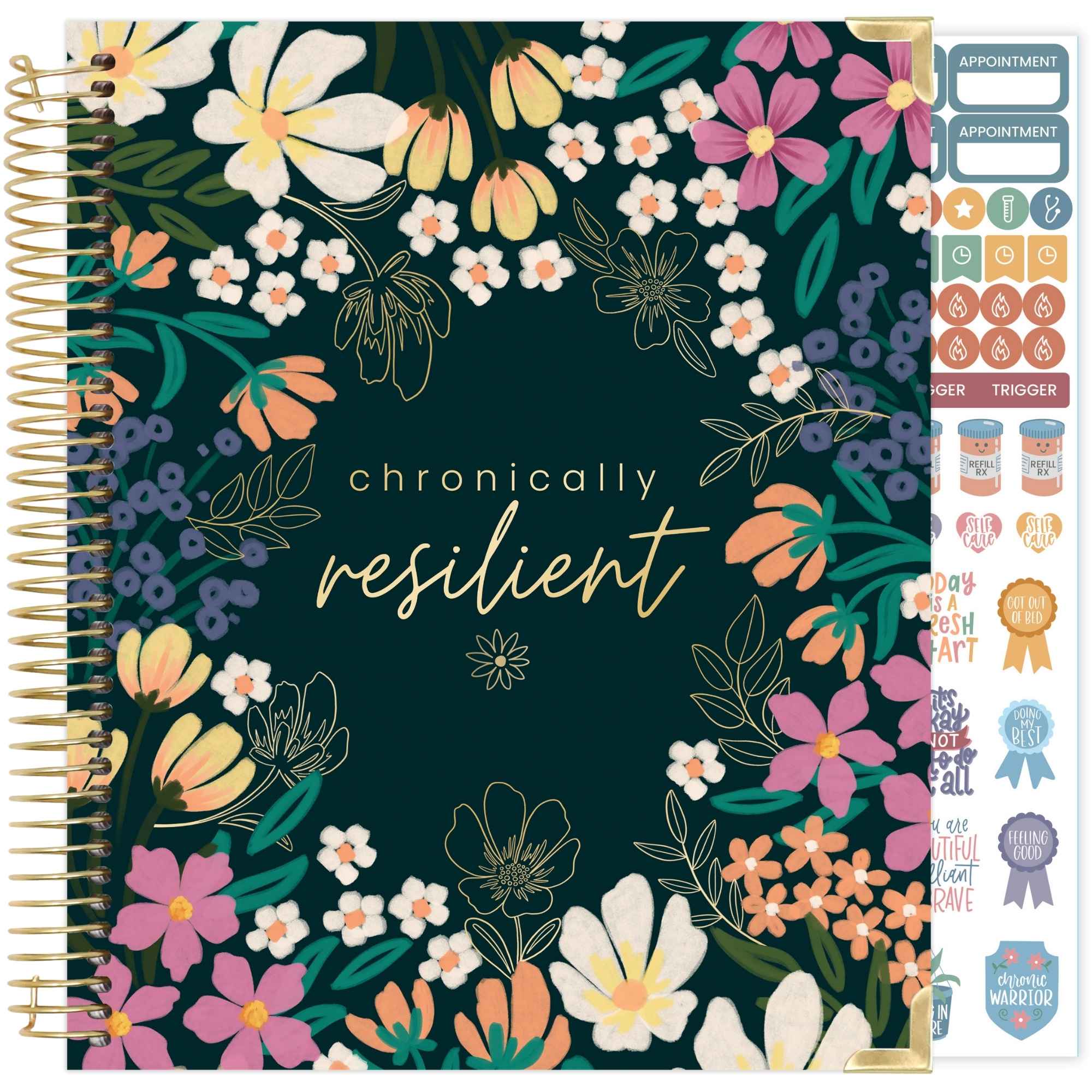 Chronic Illness Planner, Choose Design